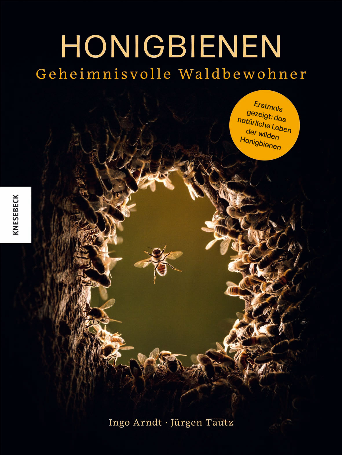 Read more about the article Rezension: Honigbienen – Geheimnisvolle Waldbewohner